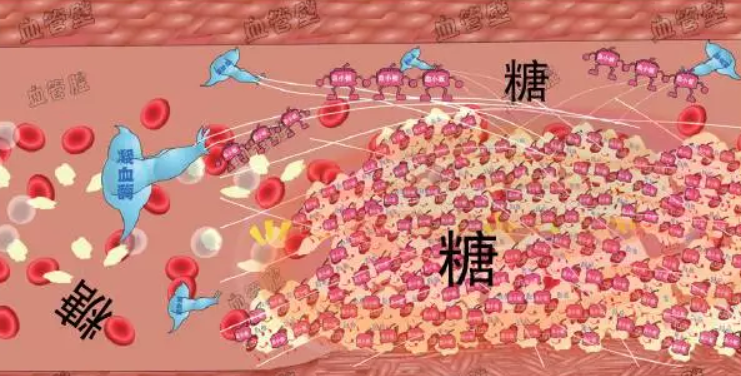 图片11